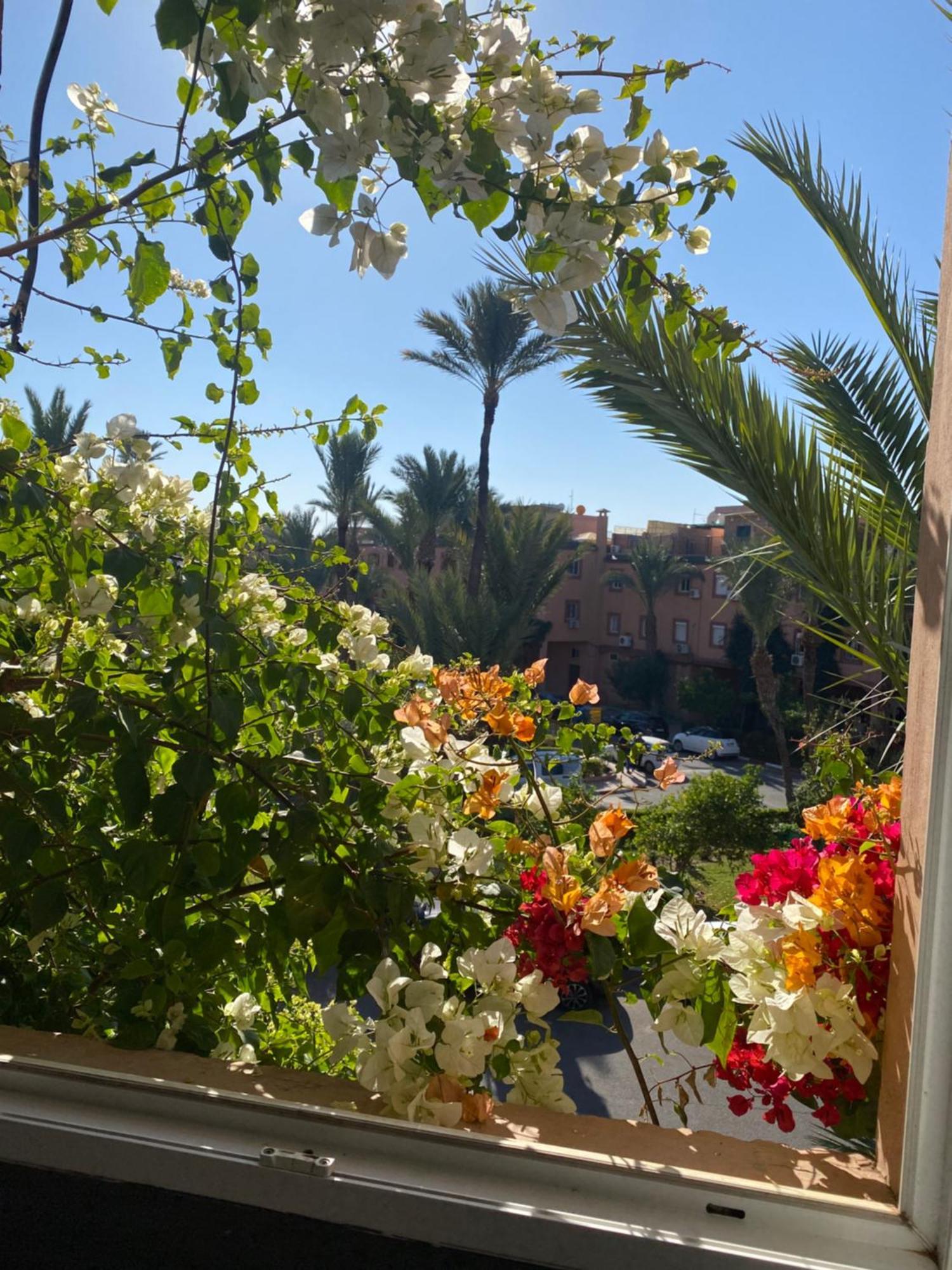 Riad Palmier Fleuri Marrákes Kültér fotó