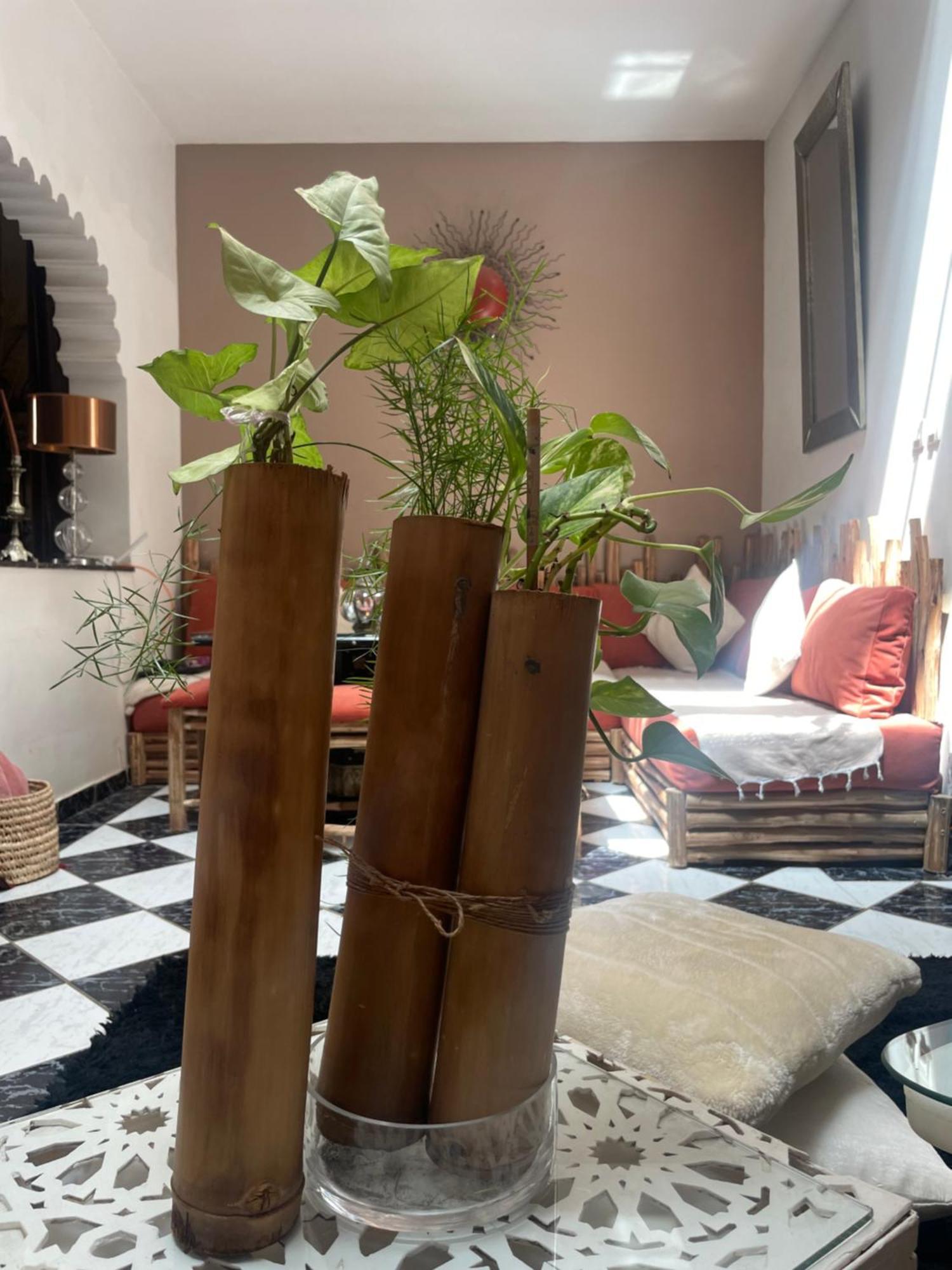 Riad Palmier Fleuri Marrákes Kültér fotó